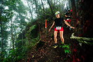 BIB: 
                            <button type="button" onclick="openModal(26232795)" class="btn btn-primary btn-sm float-right btn-popup" data-toggle="modal" data-target=".modal-high-quality">
                        <i class="fas fa-shopping-cart"></i> Add to Cart
                    </button>
                                            <button type="button" onclick="isThisMe(26232795, true)" class="btn btn-success btn-sm float-right btn-popup btn-isme hidden" data-toggle="tooltip" data-placement="bottom" title="นี่คือรูปของคุณใช่ไหม คลิกที่นี่เพื่อเอาเข้าอัลบั้ม">
                        <i class="fas fa-plus"></i> Add to album
                    </button>
                    <button type="button" onclick="isThisMe(26232795, false)" class="btn btn-warning btn-sm float-right btn-popup btn-isnotme hidden">
                        <i class="fas fa-ban"></i> Remove from album
                    </button>